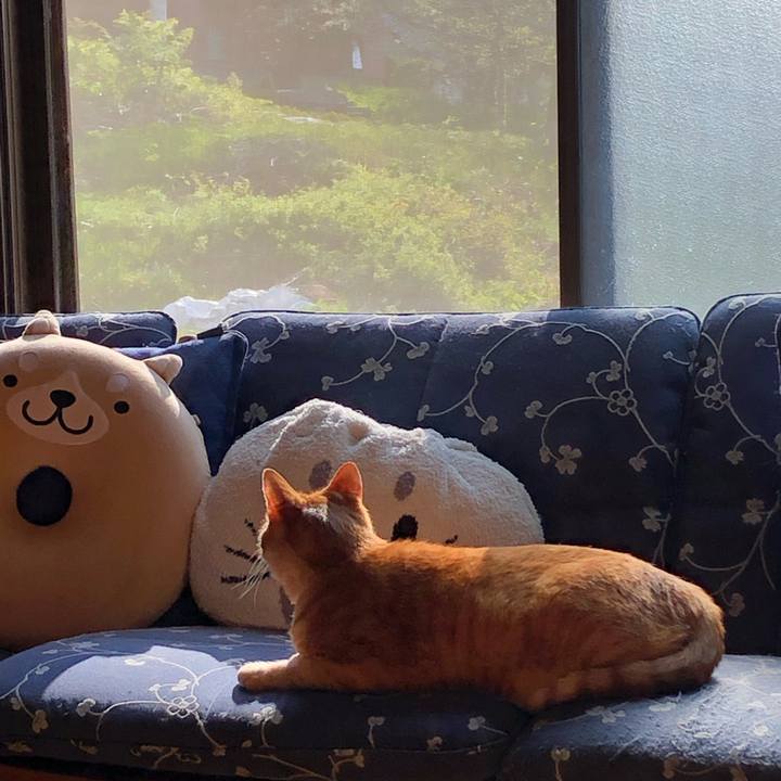 B735055b d638 4d1d a59f fd015020df61 1590216474957