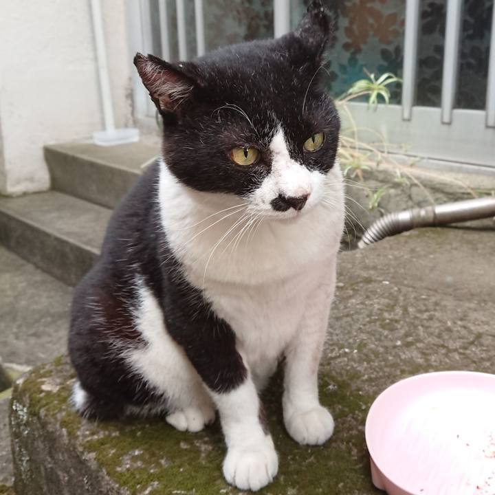 B73525fd da24 4620 9a2b b165fe07d07a 1597311005950