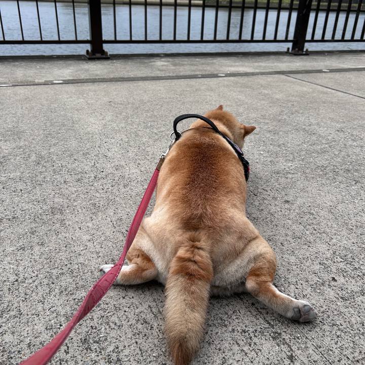 B73534b4 0a36 47ea bbe9 9d39a182ce04 1727694602400