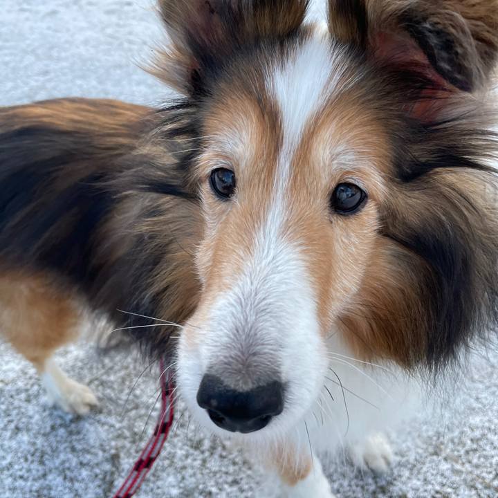 B7353d41 0ce0 48d0 85c8 10fc2845e374 1607135892601