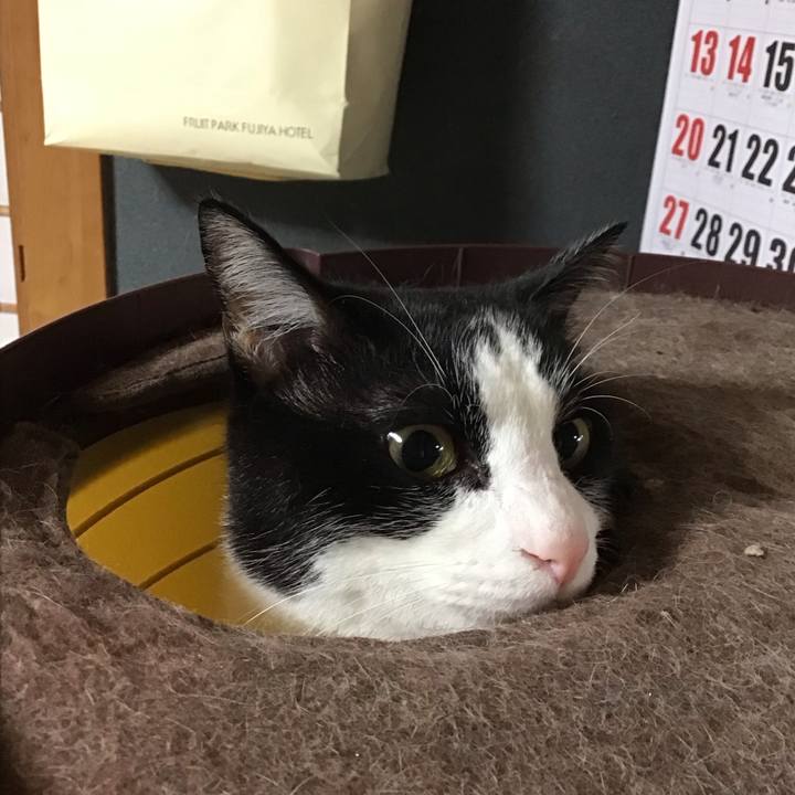 B735bfb6 7f6f 434a b62c e9de685c80b2 1729327847170