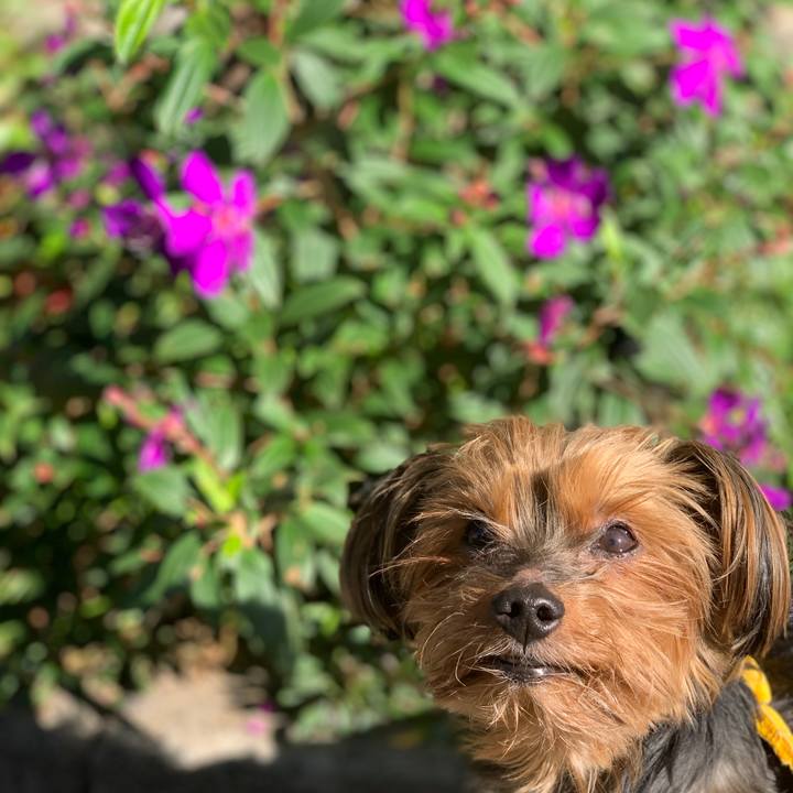 B735dabc 1f7a 455b 885d 08fd8c32caf4 1635570919962