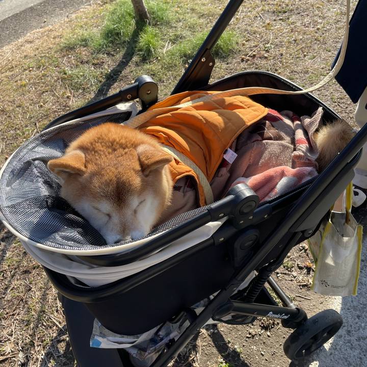 B735fa60 69bc 4da4 a35f 3f2f73ae730d 1645364411070