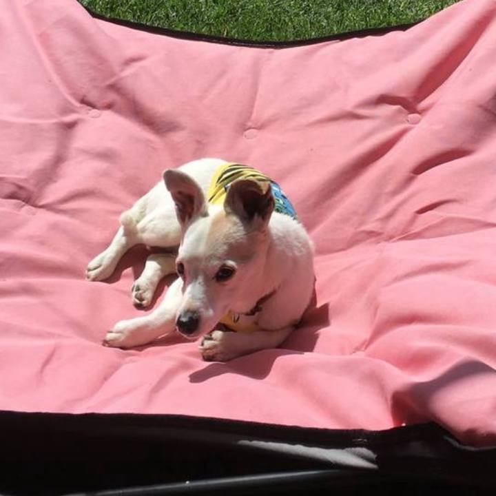 B73603a5 8d74 4469 b8ec 4a977cf7ba54 1763632776266