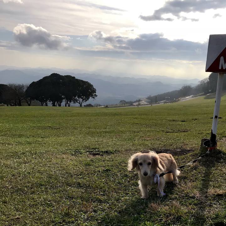 B7363f50 59fb 4a91 8a92 934a34fe1e08 1511428335225