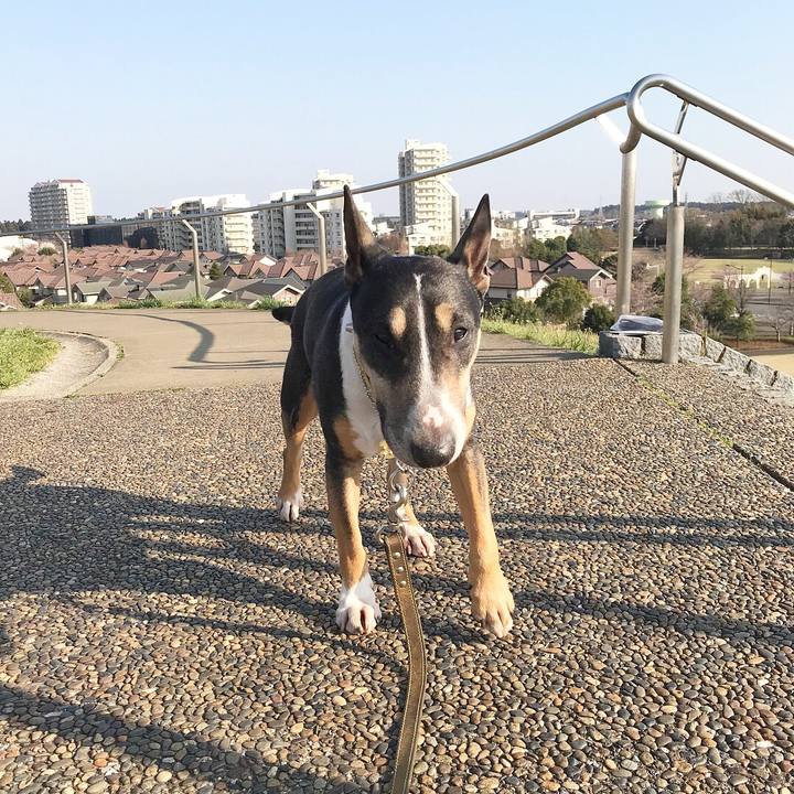 B7366edf 4ff6 436f bb35 a9b50cb3dc64 1521966562402