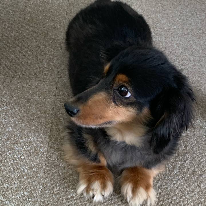 B736866c bda1 40bb 9eed 78913c9138e8 1597551361477