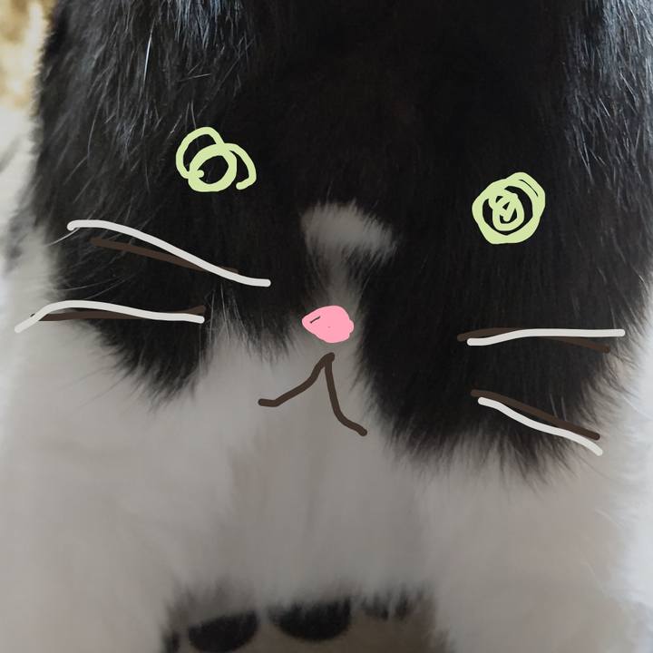 B736f1c0 9070 4d25 b26d 27542fc70495 1631363287179