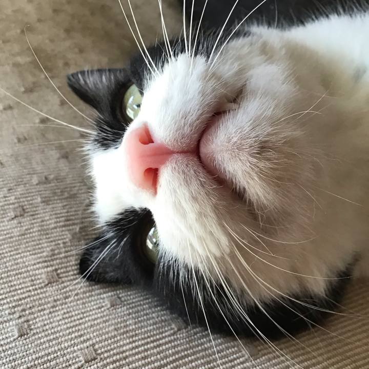 B736f811 39bd 43f3 ac03 eca4d03615ce 1755769535793