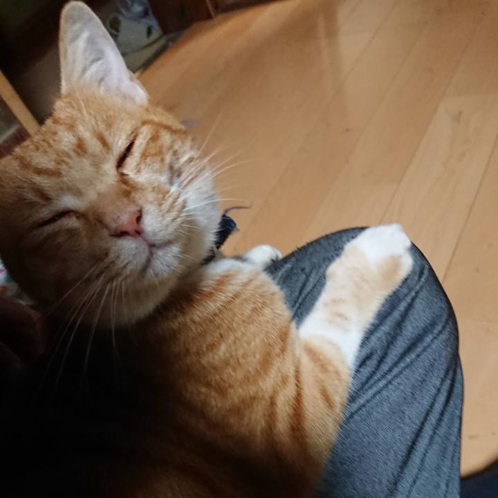 B737569d dad3 4bdb 9ab0 625738e36837 1602753093614