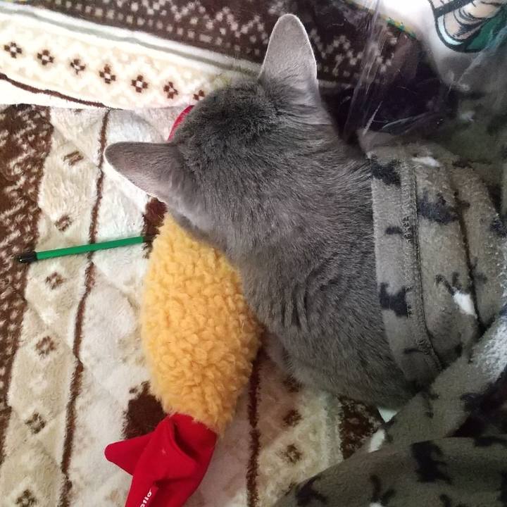 B7376054 8af2 41f4 b2ac af5c62fa68c4 1675473790918