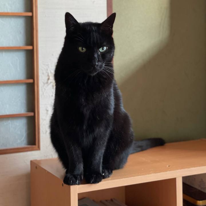 B73774dc b462 4761 be3e e0ad144410e9 1611884775774