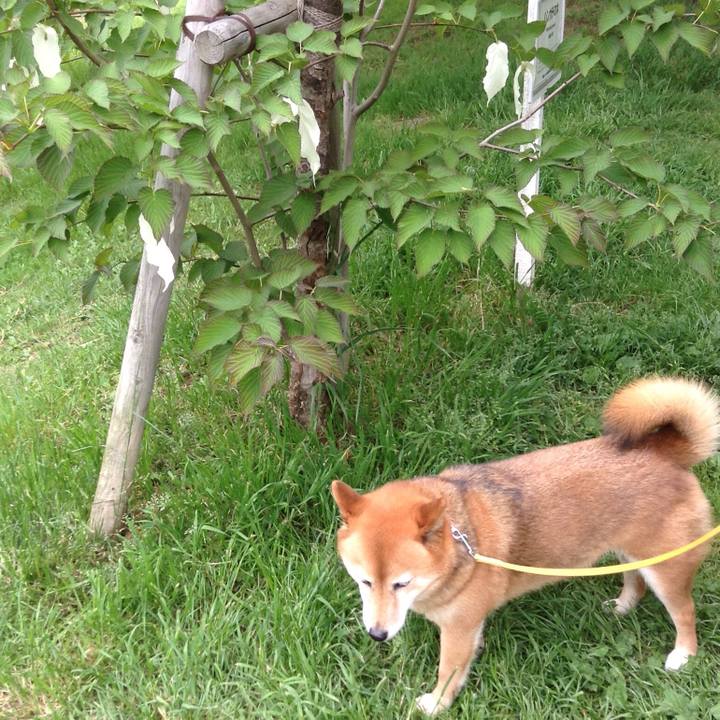 B7378dc7 9c58 48d4 83c0 8867ff153496 1524460714952