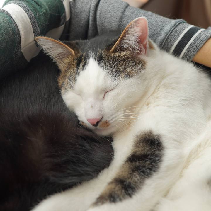 B737b772 8ca5 497c 828a 7f739f25c38d 1586354318893