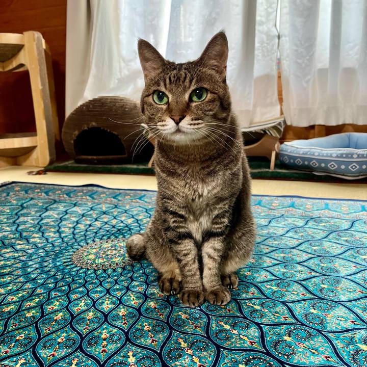 B737d269 f540 4381 be88 1b0f906691d3 1755416407306