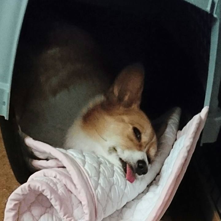 B7383896 f7ca 4fa4 b38b 252fe1b12e81 1526428201883