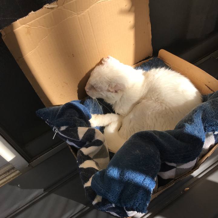 B7383f94 496d 4aa7 a0cd f09a47ffbf84 1540856901590