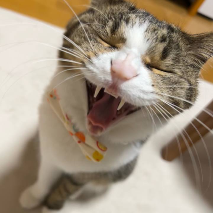 B7387191 930e 46be 913d 4ef0d7e964ea 1770246493329