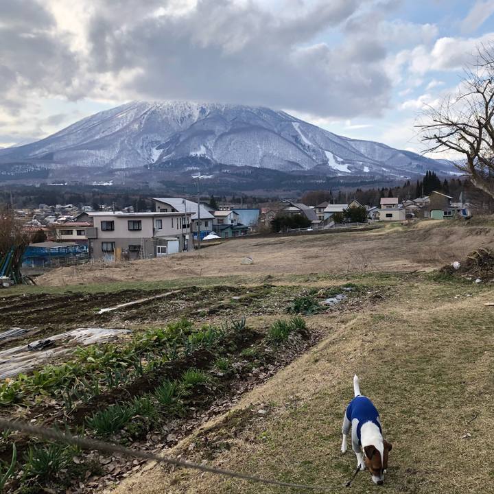 B738ac9d 7f1f 44d9 887b fc7f12fa9793 1555057883709