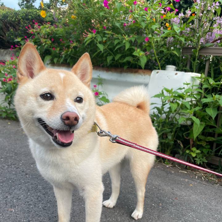 B738b368 8593 4b61 add8 5db8b503fa3f 1662933485865