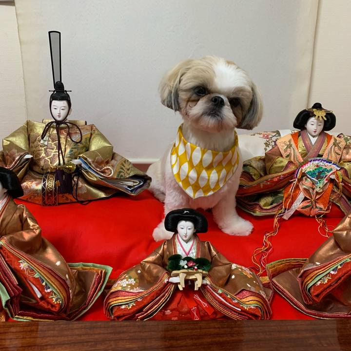 B738dad2 202c 4fda b7d9 20171d858bcf 1583497546168