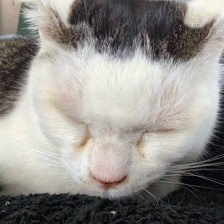 B738e5ef f28e 4724 a4f6 42cfbbb20f1e 1588495399643