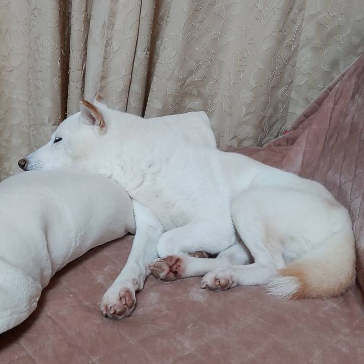 B7393657 80bc 4dd6 9c67 4c9178d3bcc9 1671168963539