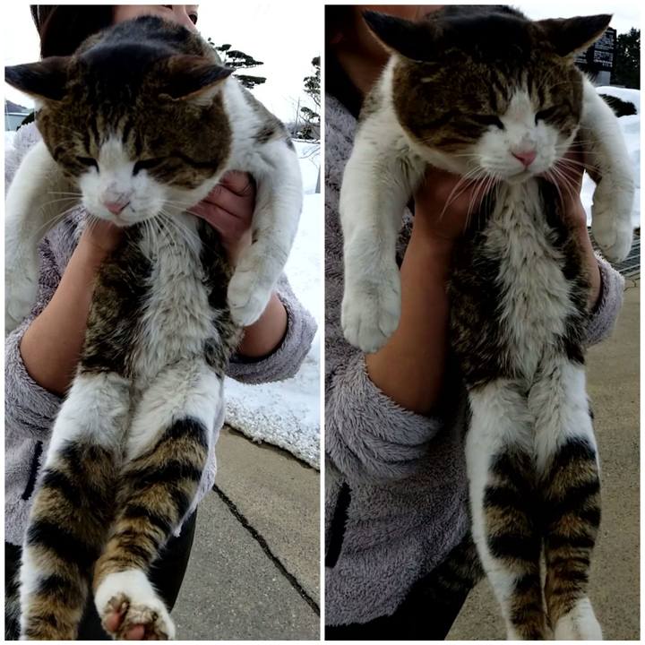 B7394ab2 7ef7 4a2c 9f2c 790c49623889 1584356759204