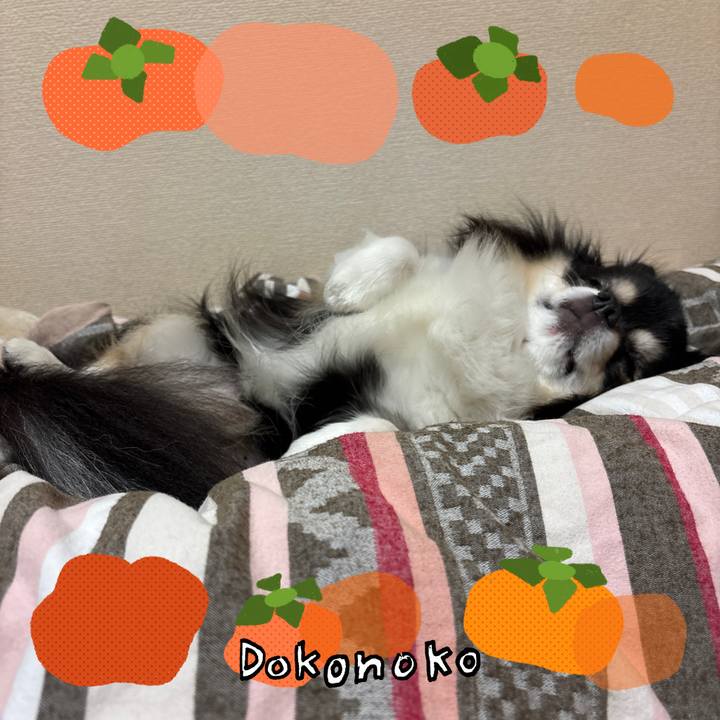 B7397779 cf46 4134 84e9 8f4eb8b644c0 1761392167674