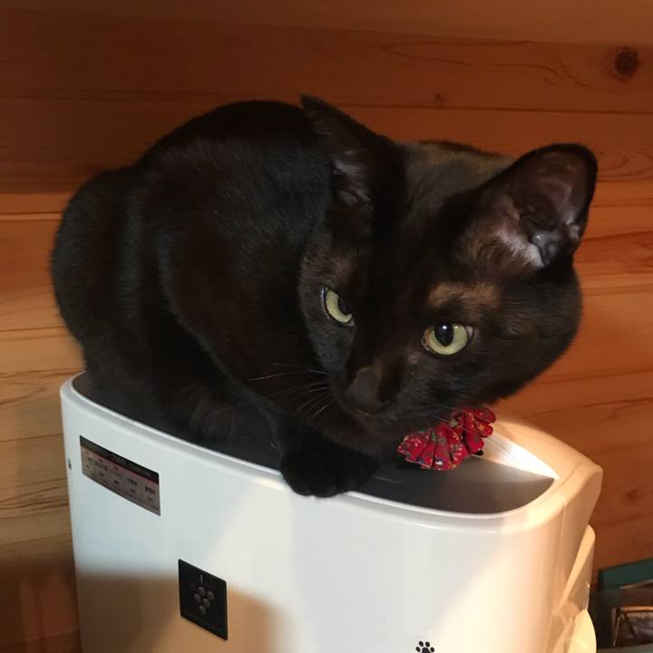 B7397a40 a3a3 467b b29e 5fb6eaaeb8db 1544622472245