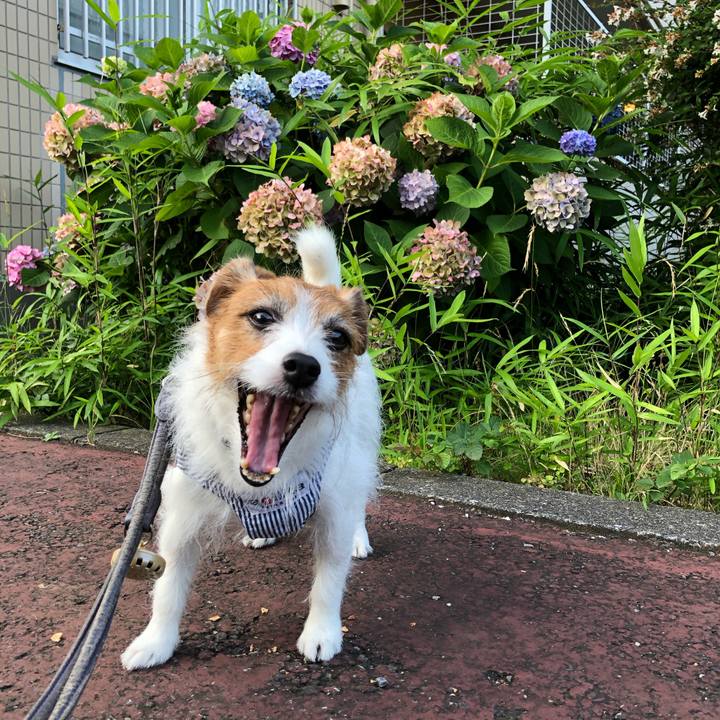 B739d072 585a 4f31 9922 8427e0d5e758 1624851740495