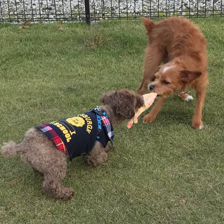 B73a0404 4deb 420f a85f 38ac1a39e575 1572618939586