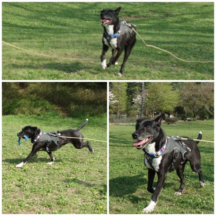 B73a174d 03dc 44af b466 acf430d84d46 1649724642116