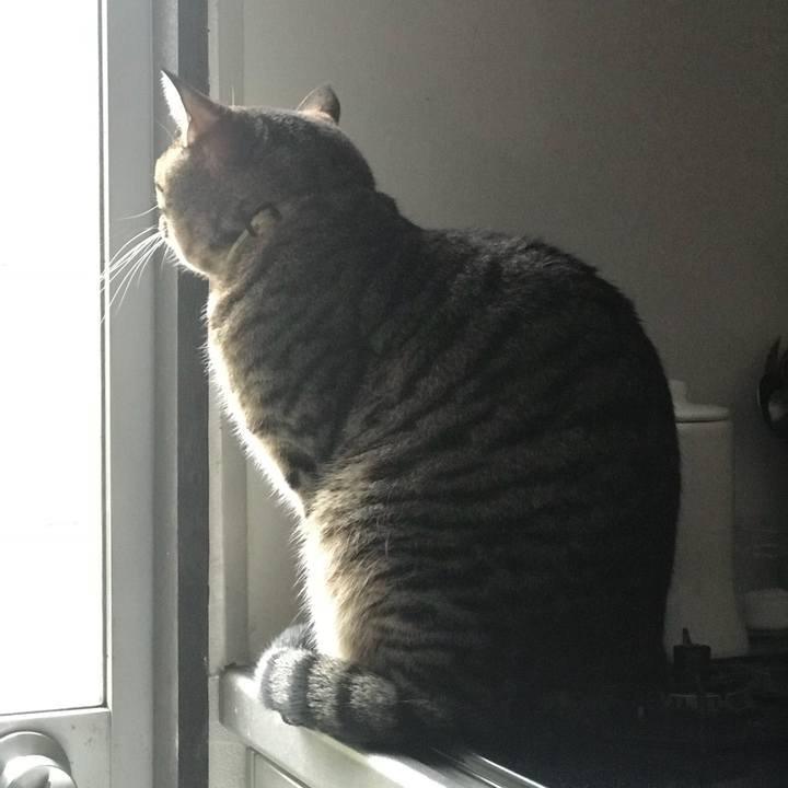 B73a1866 fec2 4c73 9b2d 4a1657fe6aea 1510617798424