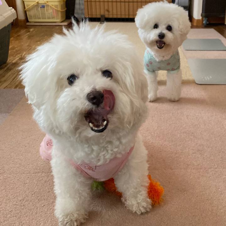 B73a5519 cab0 4ec1 88c6 4462a5c48c53 1623224427451