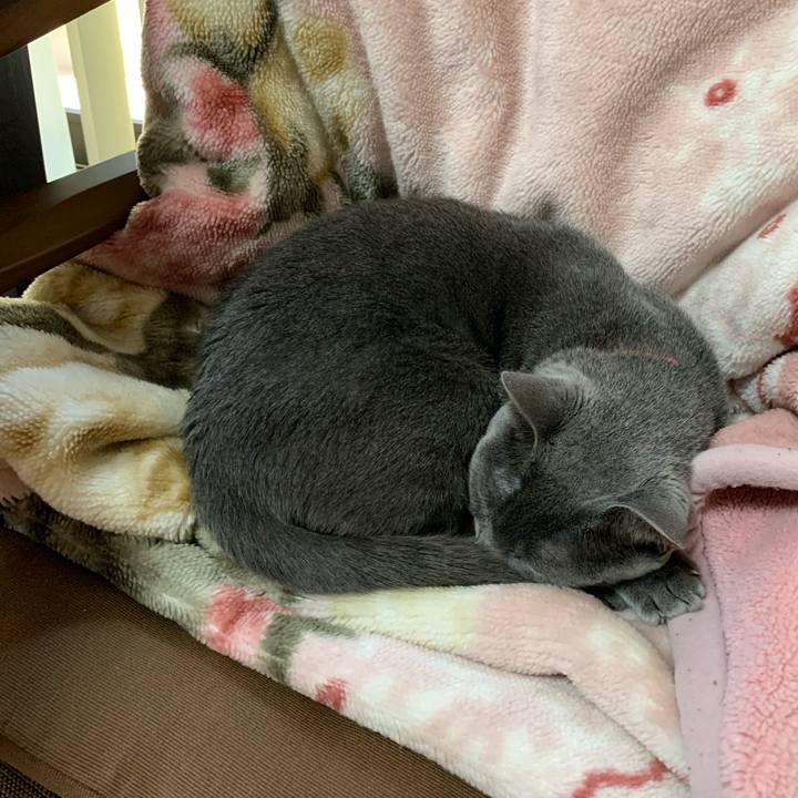 B73acfbf 4839 4ce3 b1d4 d235b1918b17 1616044777637