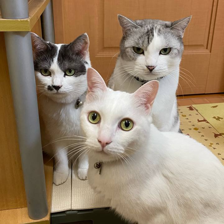 B73ad054 f992 49ac 8ade 78dfc2091008 1635127551135