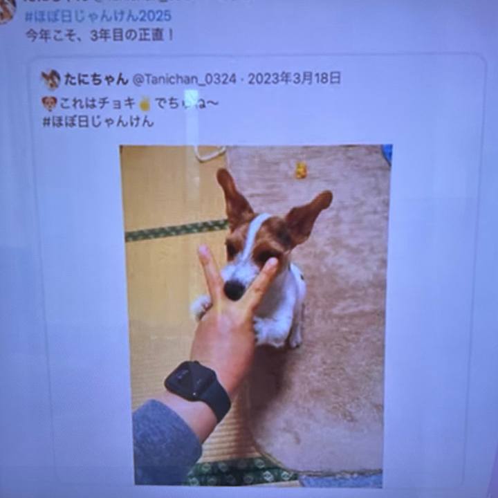 B73ae29f ab0f 44dc 84f7 d16b45b67007 1766203959376