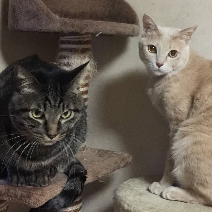 B73b4a5e b837 440f 8252 c10b37fd16fb 1524375620075