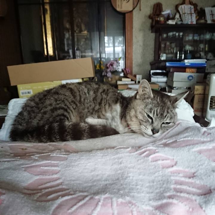 B73b4d78 02c3 4840 a443 efea51f53080 1591993591525