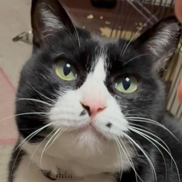 B73b5b80 1f10 49bf b56b 840a9705e65d 1768138185436