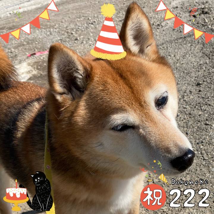 B73b8733 091a 41d7 b22a f3dd287ab112 1645497163186