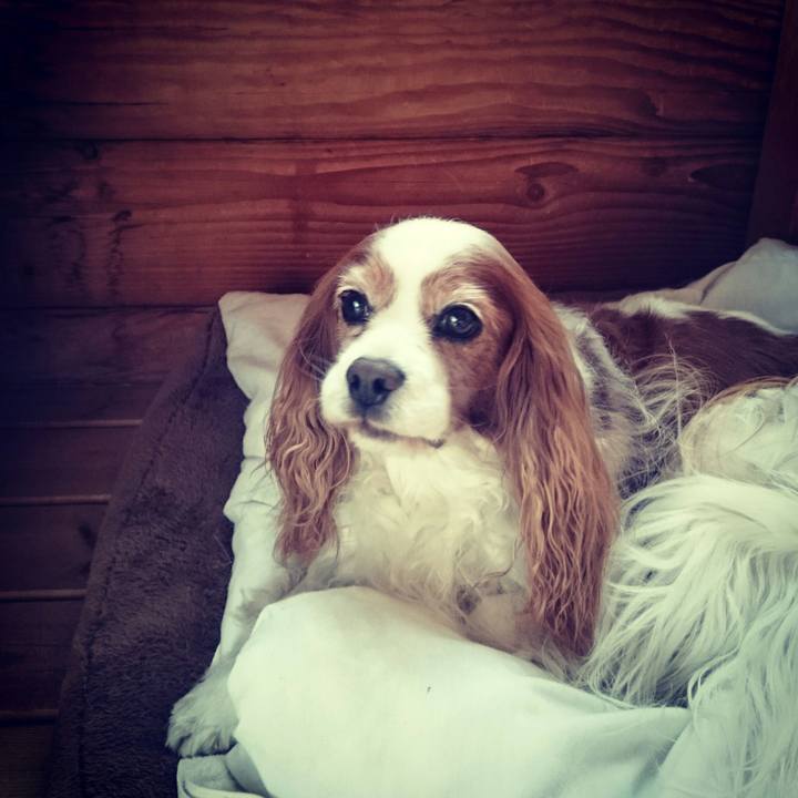 B73ba51d a937 4fd6 861e 72f9b56e0984 1523835485565