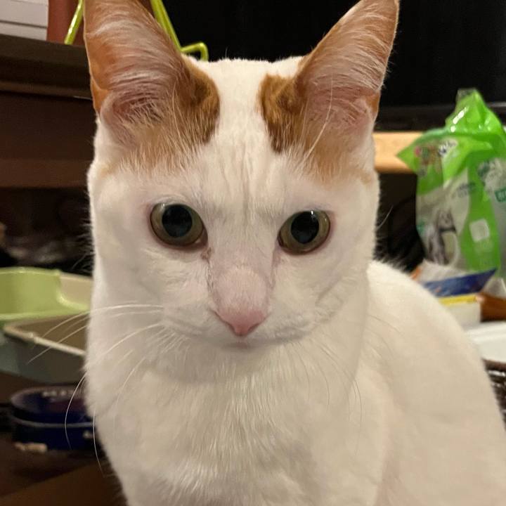 B73bcff2 c2e3 42af bfd9 47d25fd2e869 1770908574979