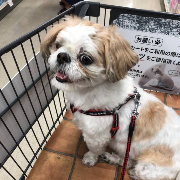 B73be62c 7841 4eab 9cbb 794814e5fe6d 1560894436018