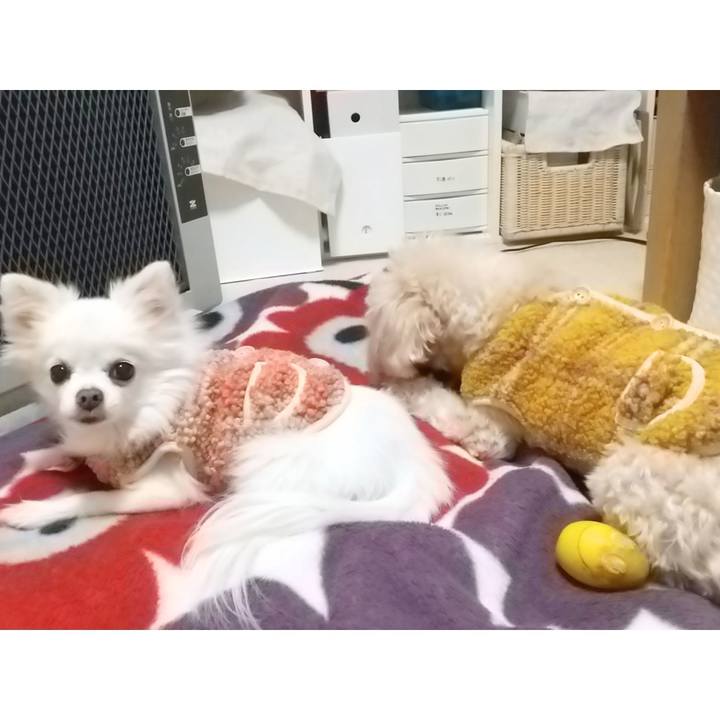 B73c1ad9 3a5f 4cff b252 6efe2b2c2731 1643373116018