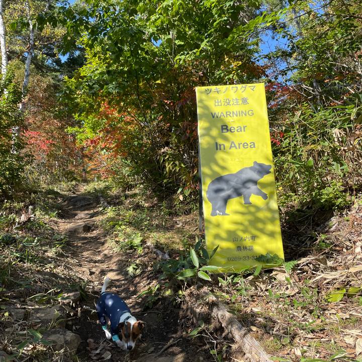 B73c3b70 0a19 4621 bea6 a7cccc95dcd5 1633343396395