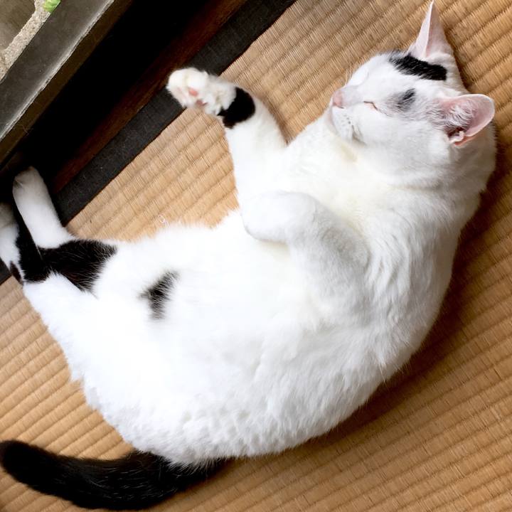 B73c4e84 f90d 4af7 a0bf 5ac06df092f7 1566877193595