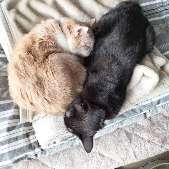 B73c58f1 bda0 47c0 b13b 15718781be07 1706331450046