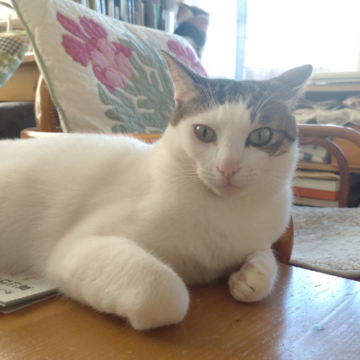 B73cadd5 4fe8 4126 bd44 8c8cd3e90b8a 1689979888271